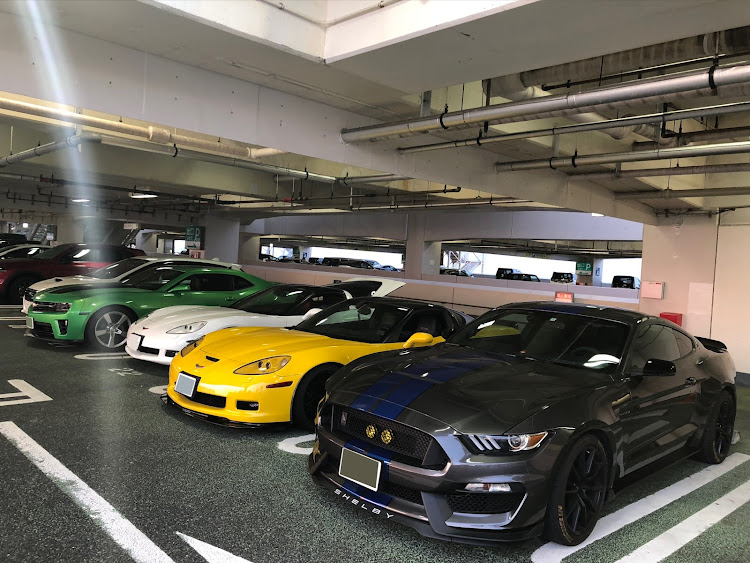マスタング クーペの高知・ドライブ・4月もよろしくお願い致します🌸に関するカスタム事例の投稿画像1枚目