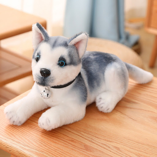 Husky Plus Bell Lying Style