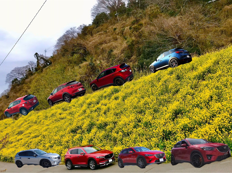 CX-5の半顔イケメンリレー・モノクロ祭り便乗・半ケツ美尻レー・コロナウイルスに負けるな・オン会に関するカスタム事例の投稿画像4枚目