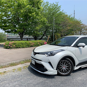 C-HR NGX50