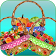 Accell Fruit icon