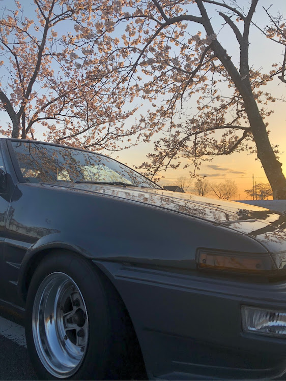 スプリンタートレノの桜とコラボ🌸・散り出す・ガソリンが高すぎる😱に関するカスタム事例の投稿画像2枚目