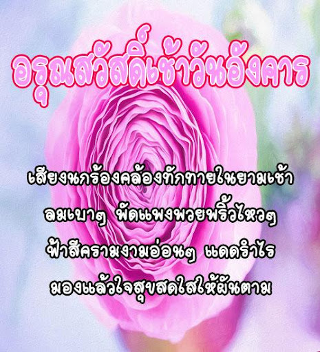 รูปสวัสดีตอนเช้า สวัสดีตอนเช้า