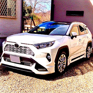 RAV4 MXAA52