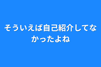 そういえば自己紹介してなかったよね