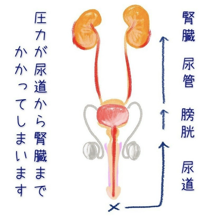 の投稿画像9枚目