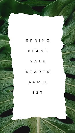 Spring Plant Sale - Instagram Story item