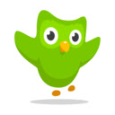 Duolingo Binge Chrome extension download