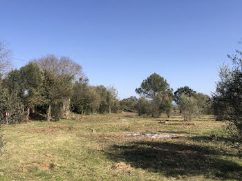 terrain à Sanilhac-Sagriès (30)