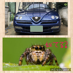スパイダー 916S1B