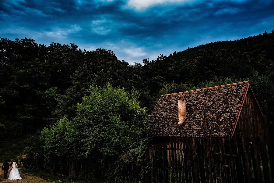 Fotografo di matrimoni Claudiu Stefan (claudiustefan). Foto del 14 agosto 2018