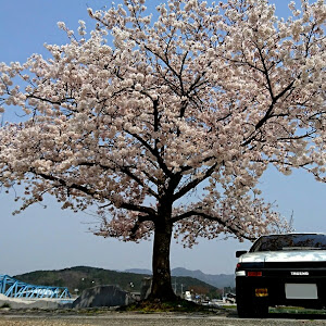 スプリンタートレノ AE86