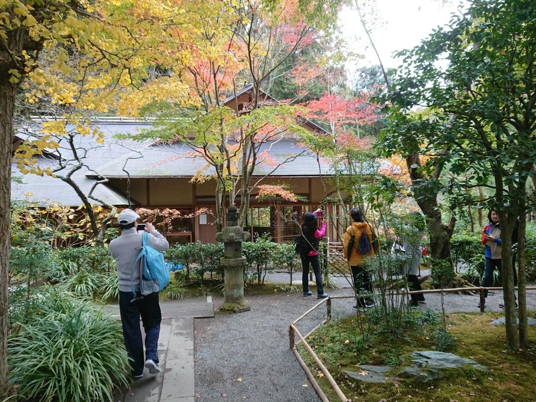 校友鎌倉晩秋紅葉漫步记 北京大学日本校友会