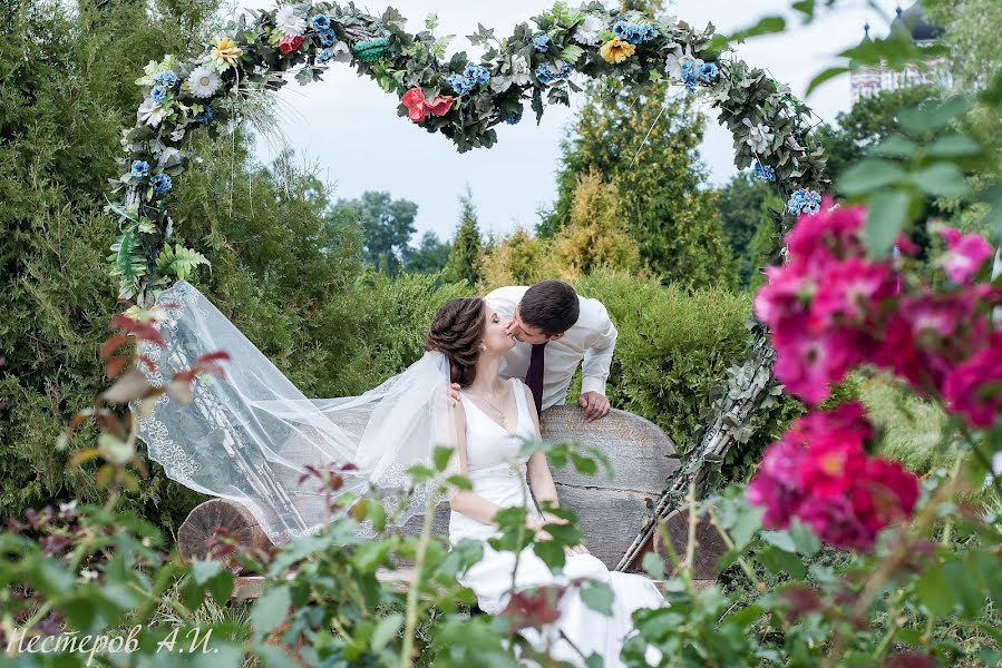 結婚式の写真家Aleksandr Nesterov (nesterov2012)。2015 10月6日の写真
