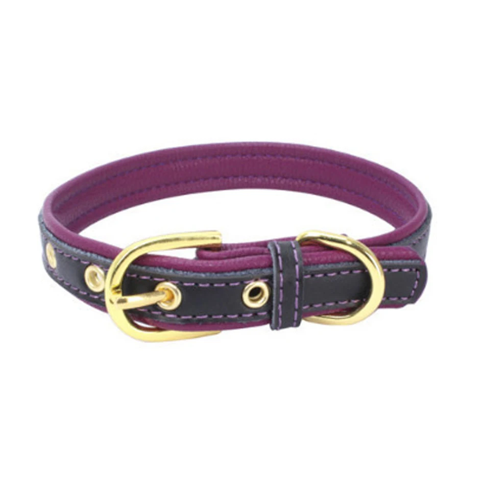 Collare in pelle regolabile alla moda per animali domestici. Design carino e di alta gamma per comfort e stile impeccabili.
