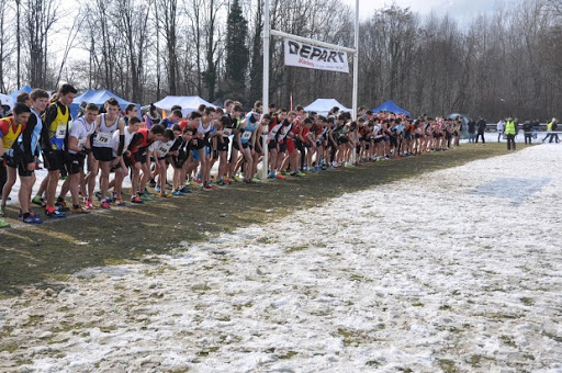 cross inter 2015