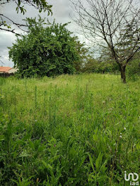 terrain à Loudun (86)