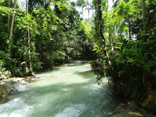 Dunn's River Falls & Rainforest Jamaica 2013