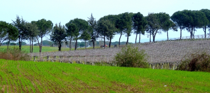 Ritorno sui campi di lulù2012