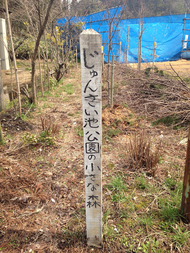 じゅんさい池公園の小さな森