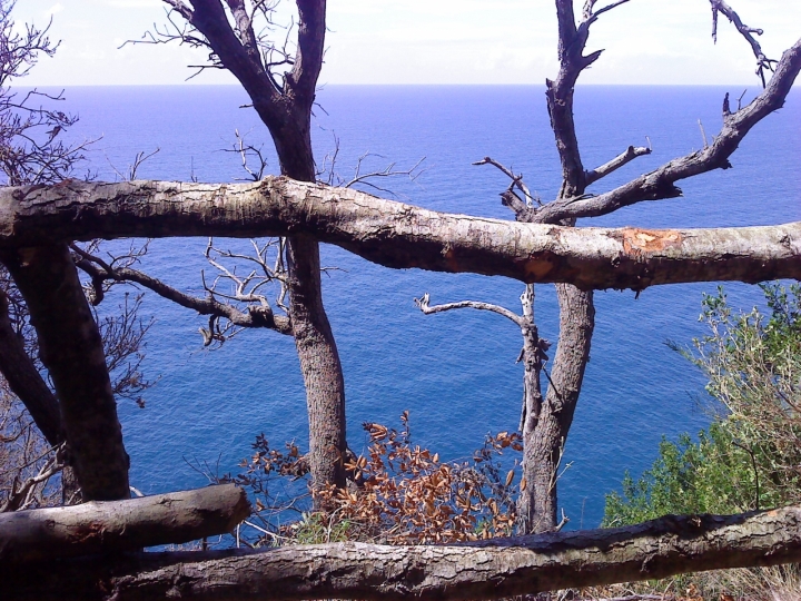Finestre nel blu di andros67