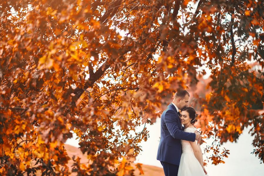 Fotografo di matrimoni Aleksandr Larshin (alexfotolove). Foto del 25 dicembre 2016