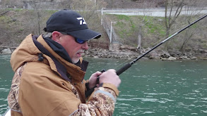 Plugging the Niagara for Drop Back Steelhead thumbnail