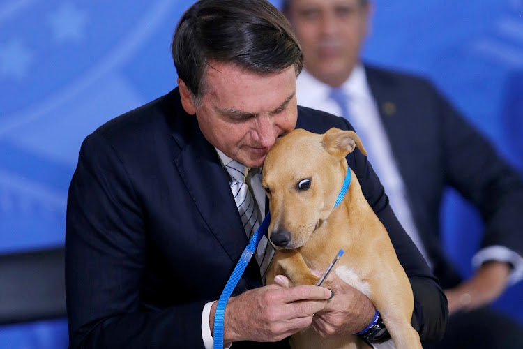 Brazil President Jair Bolsonaro holds his dog Nestor during a sanction ceremony of the law for the defence of animals at the Planalto Palace in Brasilia.