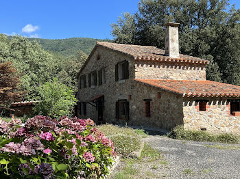 maison à Arles-sur-Tech (66)