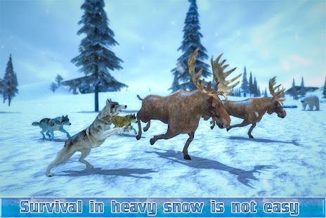 Arctic Wolf Sim 3D (Mod Money)