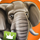 Download WildLife Africa Premium For PC Windows and Mac 1.0