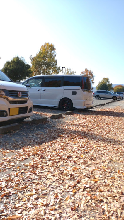 ノアのDIY・18インチ・紅葉と愛車・公園巡りに関するカスタム事例の投稿画像4枚目