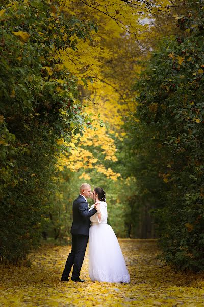 Fotógrafo de casamento Sergey Kolcov (serega586). Foto de 7 de novembro 2017