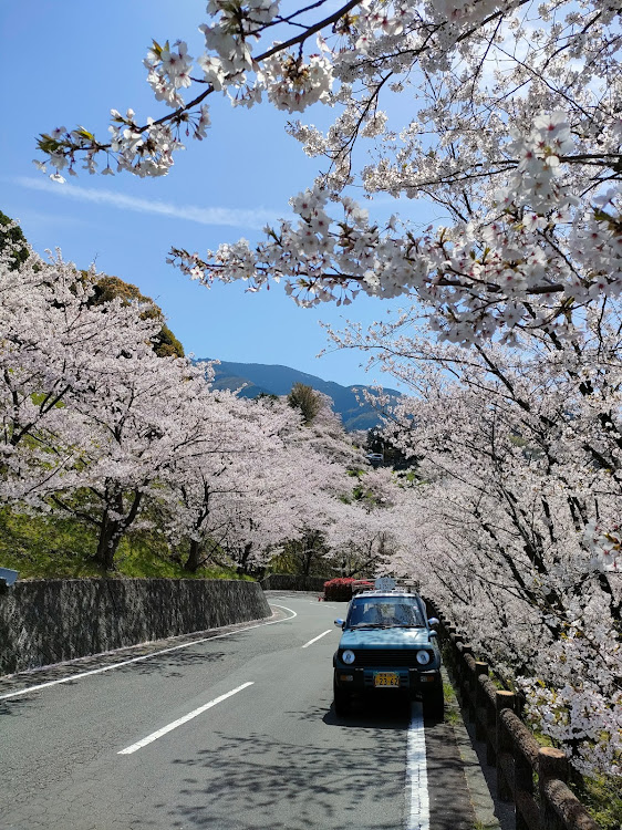 パジェロミニのパジェロミニのある生活・桜・海・愛媛散歩に関するカスタム事例の投稿画像4枚目