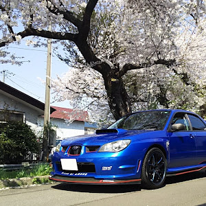 インプレッサ WRX GDA