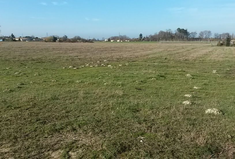  Vente Terrain à bâtir - 600m² à Pugnac (33710) 