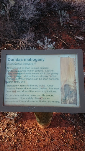 Dundas Mahogany