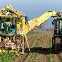 Agricultural harvester