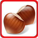 Kids Learning Nuts & Spices Apk