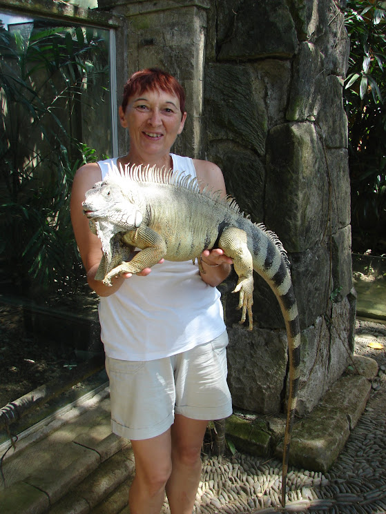 bali bird park