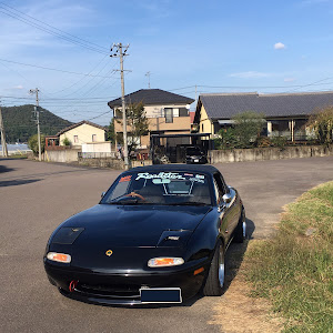 ロードスター NA6CE