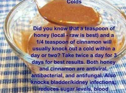 Cinnamon And Honey Cures Was Pinched From <a Href=https://www.facebook.com/photo.php?fbid=4712029808721 Target=_blank>www.facebook.com.</a>