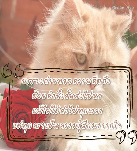 คำคมคิดถึง ห่วงใย