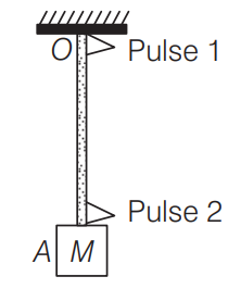 Transverse pulse