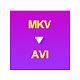 MKV to AVI Converter