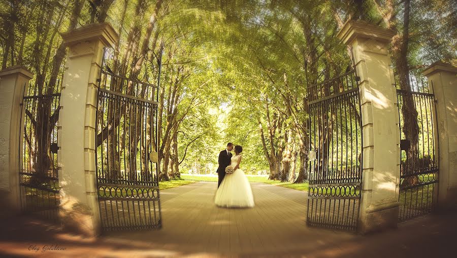 Fotógrafo de casamento Oleg Golubcov (oleg77). Foto de 31 de março 2017