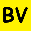 BoostV: bot for Vinted