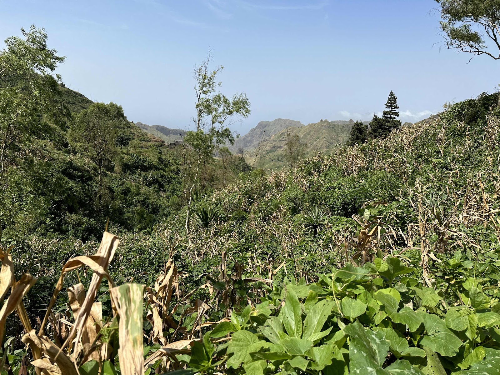 Serra Malagueta, Santiago, Cabo Verde