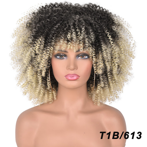 Title 1, African Black Short Curly Hair Wig Mixed Color ...