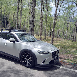 CX-3 DK5FW